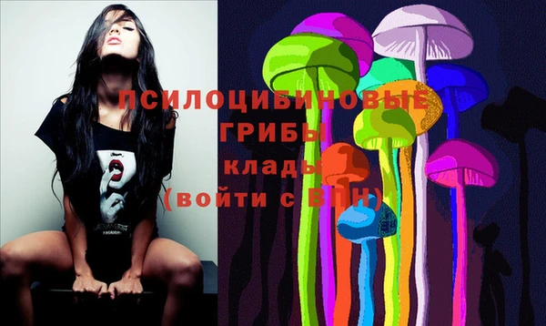 круглые Алексеевка