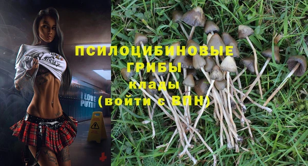 круглые Алексеевка